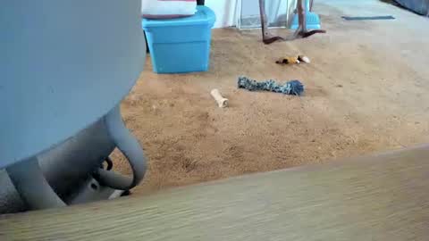 Snapshot of armalite16 chatting on October 12, 2025, 1:32 pm armalite16 online show from October 12, 2025, 1:32 pm