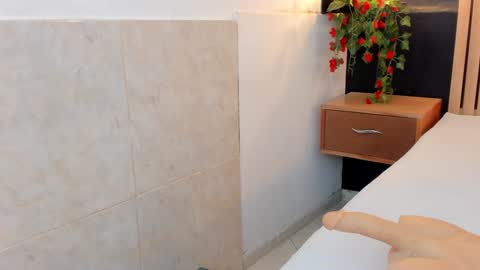 Ana online show from December 29, 2024, 8:04 pm