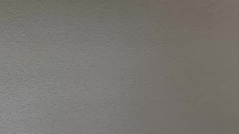 Snapshot of ash123400000 chatting on February 12, 2026, 10:27 pm ash123400000 online show from February 12, 2026, 10:27 pm