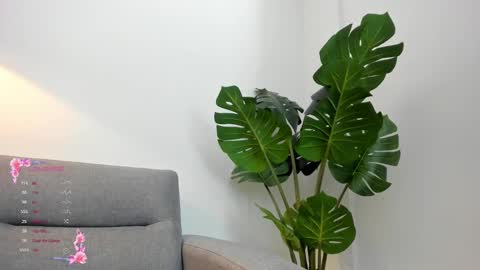 ashllovee online show from January 23, 2025, 4:09 am