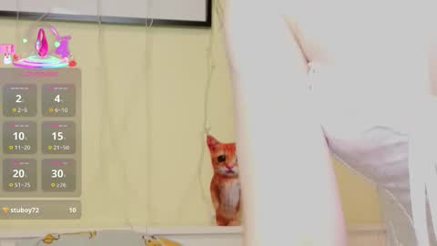 Kristine online show from November 25, 2025, 7:19 am