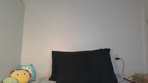 Snapshot of ashquartz chatting on March 9, 2025, 1:14 am Ash online show from March 9, 2025, 1:14 am