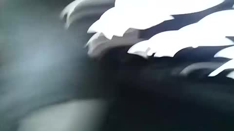 asiancreamy4u online show from December 6, 2024, 4:58 am