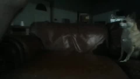 Snapshot of assholeslut9000 chatting on June 2, 2026, 4:03 am Tell me spread and Ill spread online show from June 2, 2026, 4:03 am