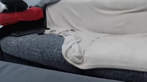 Snapshot of asshunnter chatting on January 16, 2025, 6:59 pm MARCO online show from January 16, 2025, 6:59 pm