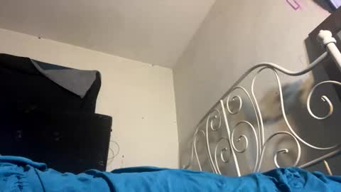 danni travis online show from February 8, 2025, 9:13 am