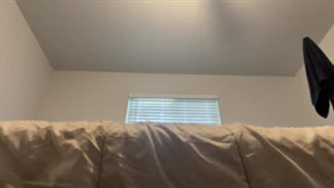 danni travis online show from June 1, 2026, 7:48 pm