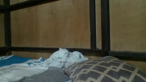 athena231993 online show from November 29, 2025, 4:26 am