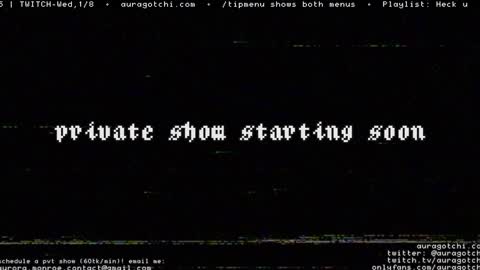 Snapshot of auragotchi chatting on January 4, 2025, 11:06 pm Aurora  Aura online show from January 4, 2025, 11:06 pm