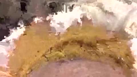 aussieguy1584 online show from March 22, 2026, 10:40 am