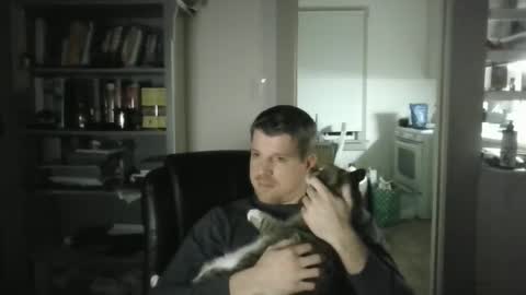 Avenger online show from February 2, 2025, 3:32 am