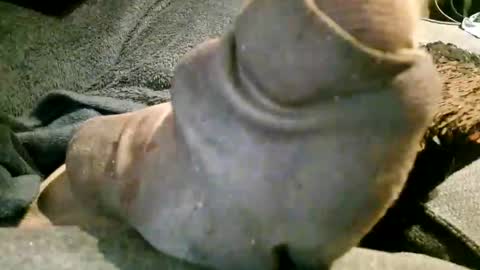 Snapshot of axelle_garcia chatting on November 7, 2025, 10:21 pm Axelle online show from November 7, 2025, 10:21 pm