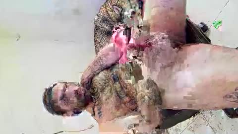 deliciosodemente online show from March 4, 2026, 12:38 am