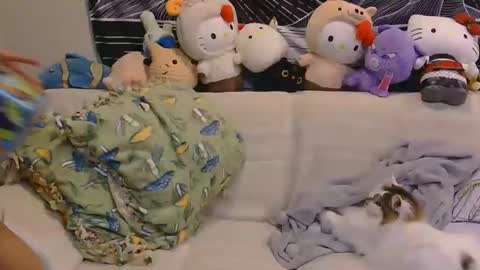 Snapshot of aznp1ea5er chatting on February 19, 2026, 4:19 am aznp1ea5er online show from February 19, 2026, 4:19 am