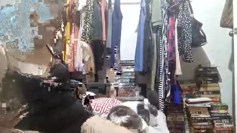 babe4u1234 online show from December 3, 2024, 11:33 am