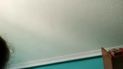 Snapshot of babebuny_ chatting on December 1, 2025, 1:49 pm babebuny_ online show from December 1, 2025, 1:49 pm