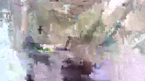 Snapshot of babymom1 chatting on March 7, 2025, 8:33 pm babymom1 online show from March 7, 2025, 8:33 pm