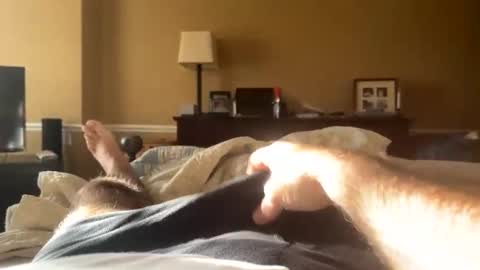 Backbay90 online show from December 31, 2024, 2:03 pm