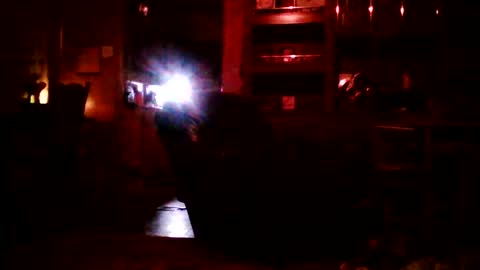 Badbitch520 online show from March 25, 2026, 10:54 am