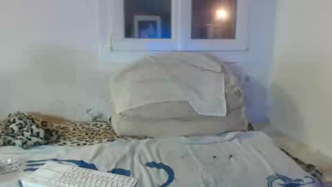 bambino6060 online show from December 2, 2024, 4:42 pm