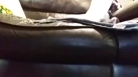 baobabtree8 online show from January 9, 2025, 1:45 pm