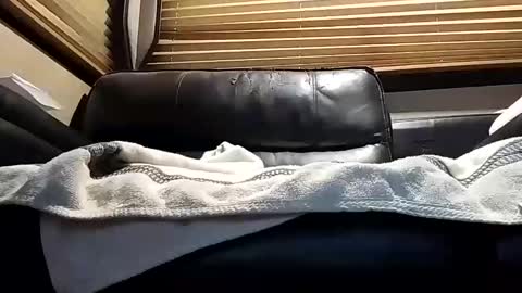 baobabtree8 online show from October 4, 2025, 12:14 pm