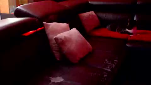 BARBARA online show from September 12, 2025, 8:31 pm