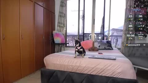 Barbiefoxx online show from January 10, 2026, 3:36 pm