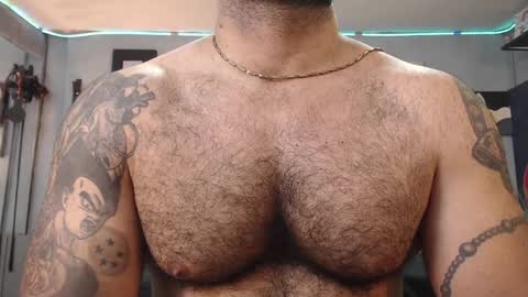 bardock online show from February 1, 2025, 9:51 pm