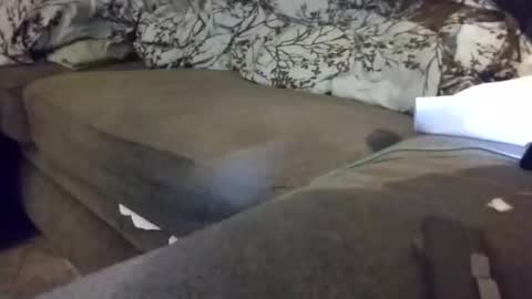 Snapshot of barrett4200 chatting on January 20, 2025, 12:15 am barrett4200 online show from January 20, 2025, 12:15 am