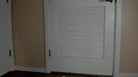 Emi online show from April 16, 2026, 9:39 pm