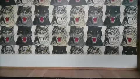 Snapshot of basrutten1 chatting on March 6, 2025, 4:07 pm Bas online show from March 6, 2025, 4:07 pm