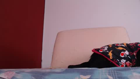 bayonette_black online show from September 26, 2025, 12:09 pm