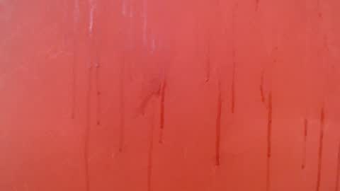 bayonette_black online show from November 28, 2025, 7:16 pm