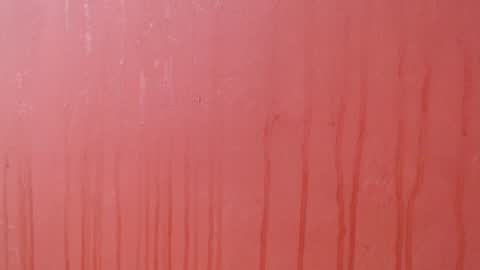 bayonette_black online show from December 3, 2025, 8:18 pm