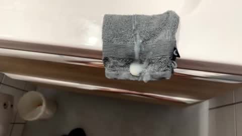 bazocaa online show from October 22, 2025, 4:02 am