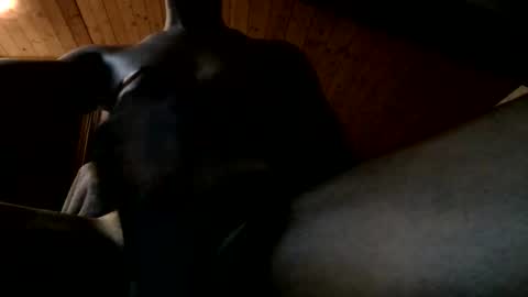 Ferdinandooo online show from June 2, 2026, 9:39 pm