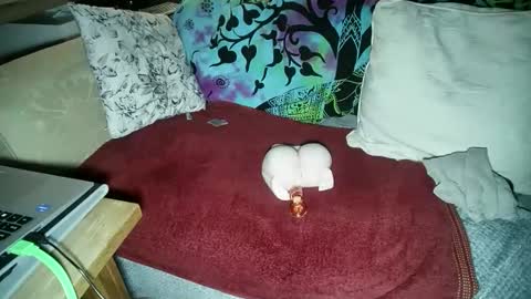 mikiforfun online show from November 18, 2025, 11:26 pm