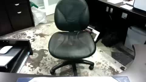 Snapshot of beagle1 chatting on October 14, 2025, 12:00 am beagle1 online show from October 14, 2025, 12:00 am