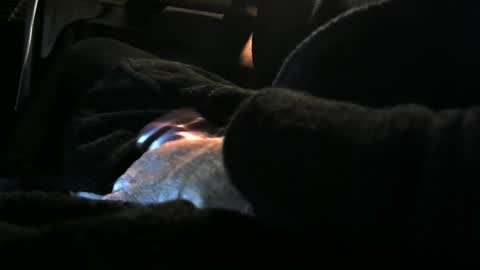 bear4146 online show from December 8, 2024, 3:24 pm