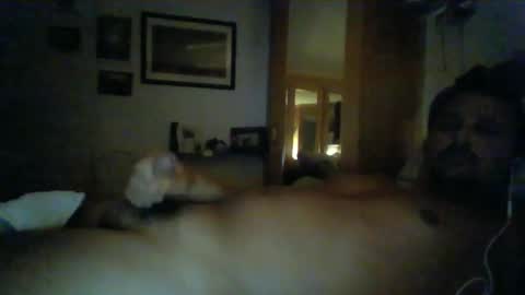 bearboudior online show from January 14, 2025, 12:22 am