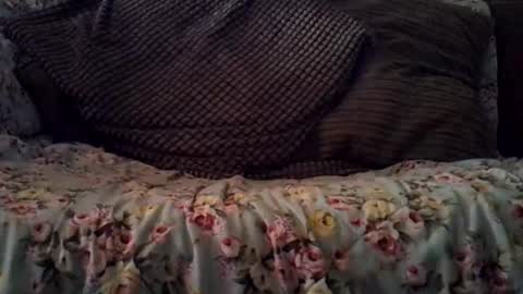 Snapshot of beatlebut chatting on October 16, 2025, 3:18 am beatlebut online show from October 16, 2025, 3:18 am