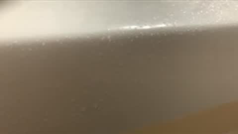 love2seeudear online show from December 5, 2025, 8:45 am