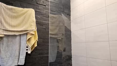 Snapshot of beenee3 chatting on December 31, 2024, 7:31 am beenee3 online show from December 31, 2024, 7:31 am