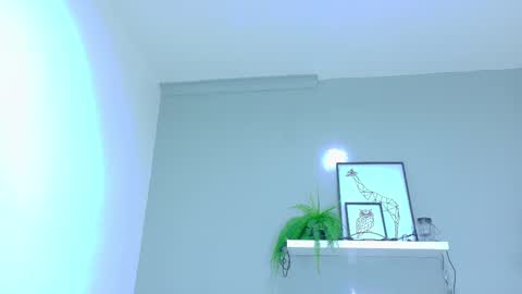 BELA online show from November 20, 2025, 11:32 am