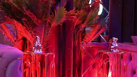 Bella online show from February 9, 2026, 6:23 pm