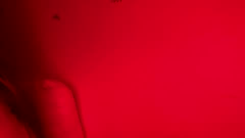 Belle xx online show from November 9, 2025, 8:12 am