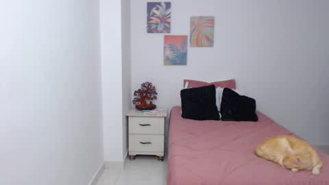 benny online show from January 29, 2025, 9:01 am