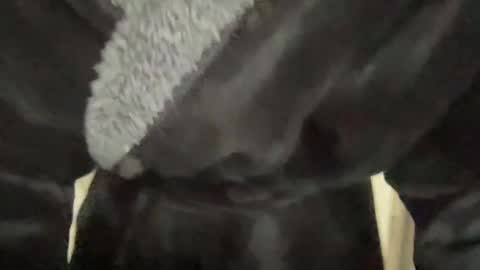 Snapshot of benwardle123 chatting on March 7, 2025, 3:28 pm READ MY BIO ---  --- READ MY BIO online show from March 7, 2025, 3:28 pm