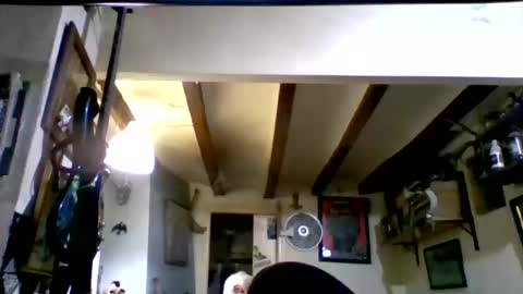 Snapshot of bernichaos77 chatting on March 17, 2026, 2:16 am bernichaos77 online show from March 17, 2026, 2:16 am